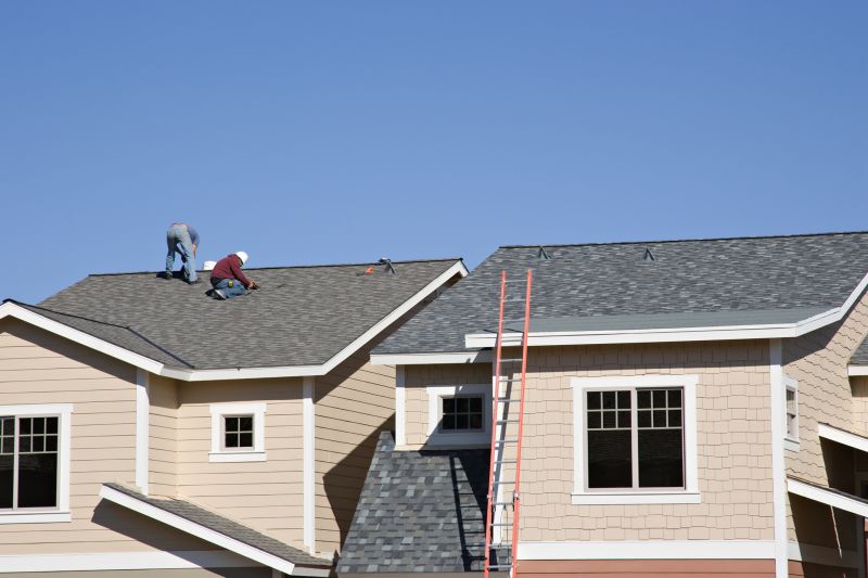 Damaged Roof Repair