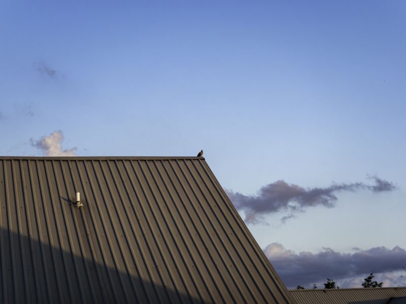 Steel Roof Replacement